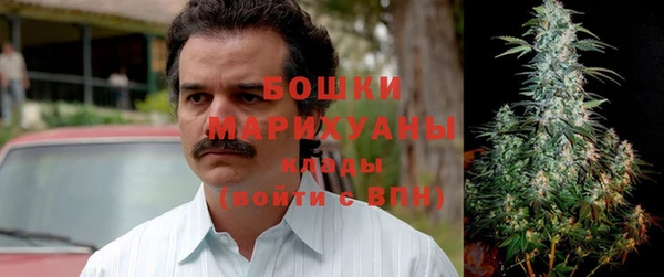 кристаллы Болотное
