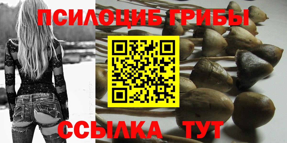 Галлюциногенные грибы мицелий Ростов-на-Дону